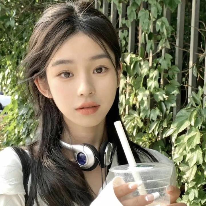 迪克·特平完全虚构的冒险