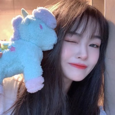 哈莱姆的郁金香