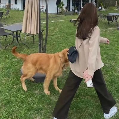 绿帽子